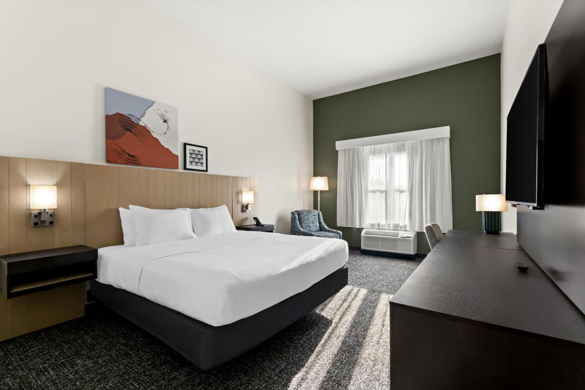 King Studio,1697882800:JPEG